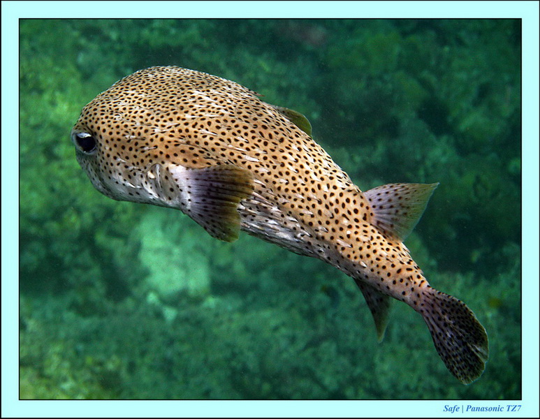 2012 - 03 - Koh Ha 13